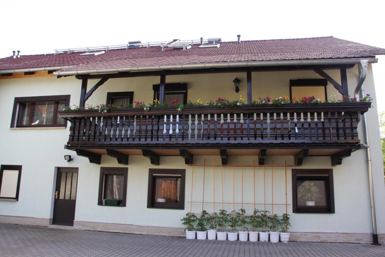 Ferienwohnung Bayer Kurort Gohrisch Zewnętrze zdjęcie