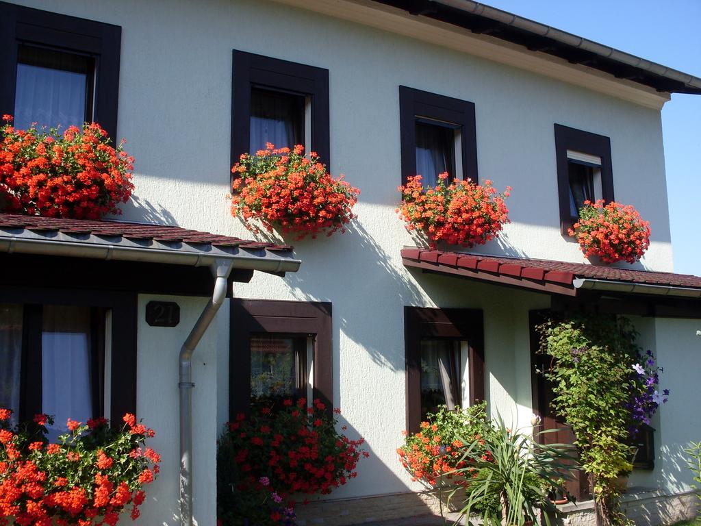 Ferienwohnung Bayer Kurort Gohrisch Zewnętrze zdjęcie